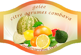 Etiquettes Gratuites Pour Pots Et Couvercles De Confiture Et Gel es De etiquettes-gratuites-pour-pots-et-couvercles-de-confiture-et-gel-es-de